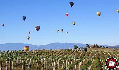 Best Temecula Experiences