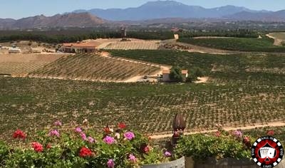 Temecula Wineries: SoCal’s Wine Country