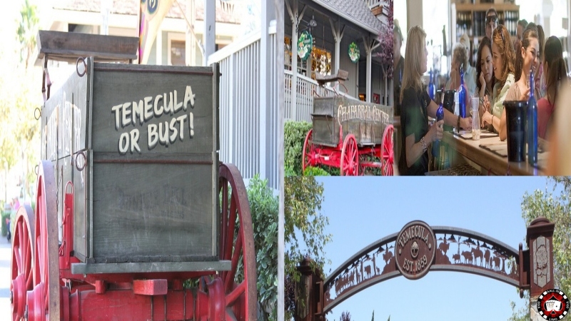 The Most Affordable Temecula Wineries