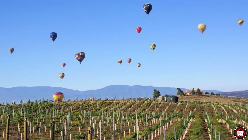 Are You Ready For Temecula Valley Balloon & Wine Festival?